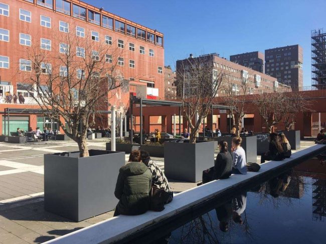 Fioriere Da Esterno Milano