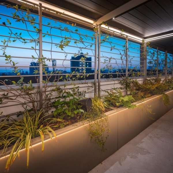 FIORIERE CON RAMPICANTE