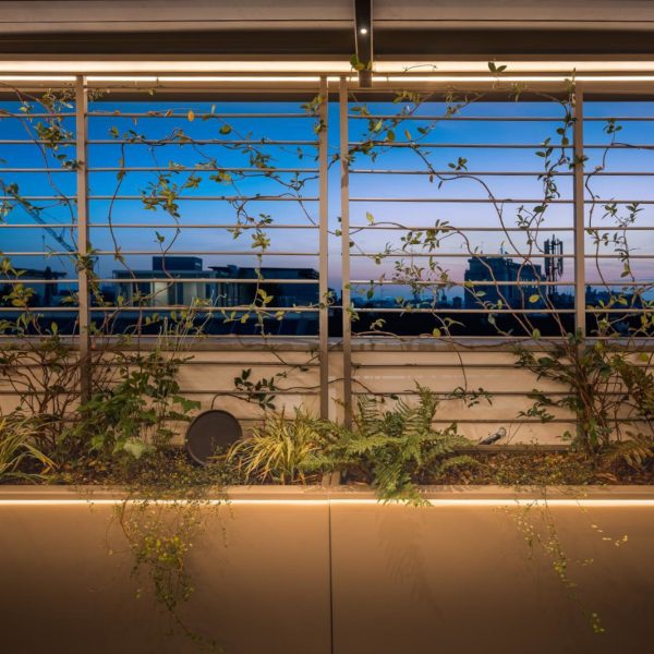 FIORIERE CON RAMPICANTE1