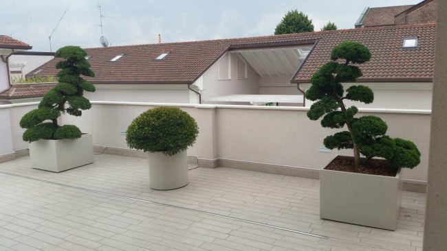 Floriere-armeedi-vasi -u-misura