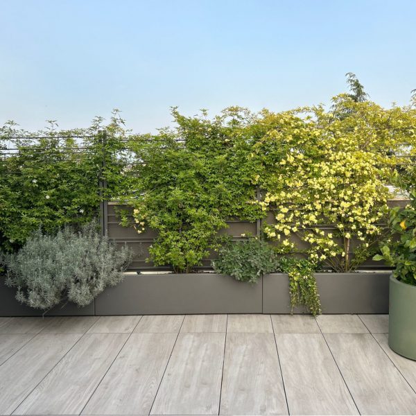 Terrazza In Primavera