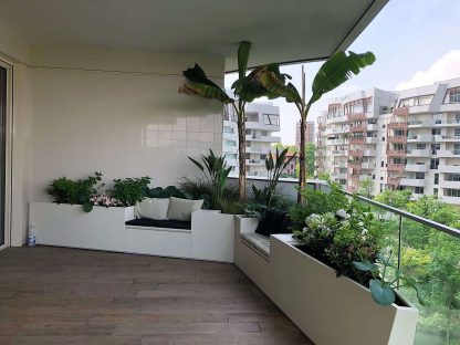 Terrazza esotica con fioriere