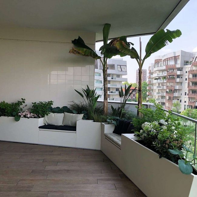 Terrazza esotica con fioriere