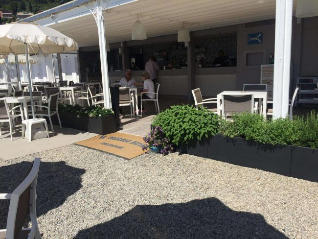 Aluminum planters for premises