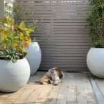 Outdoor -Pflanzer im mit Aluminium bedeckten Zement