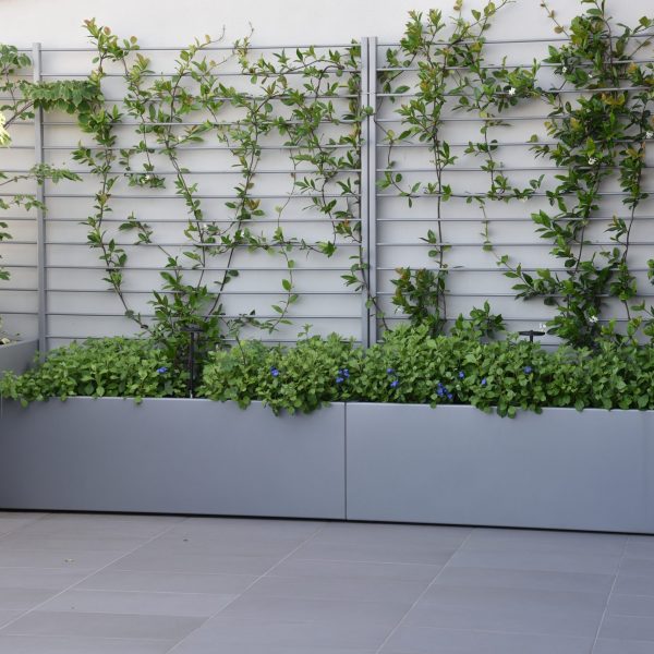 Rampicante Su Misura